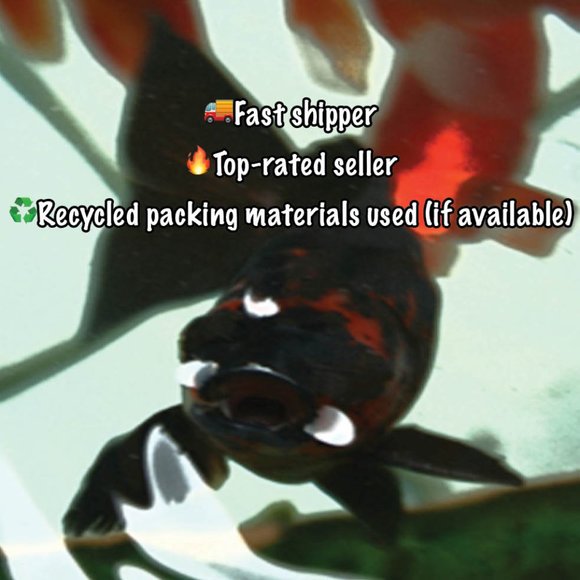 🎉🎉Host Pick🎉🎉 🌸4/$30🌸 NWOT MANTIES vintage checkered silk blazer - Picture 9 of 9